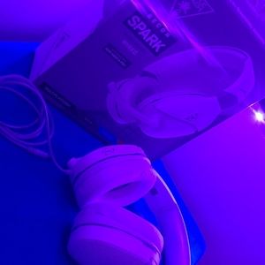 Turtle Beach headset